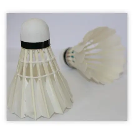 Volants de badminton