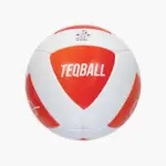 Ballon de teqball