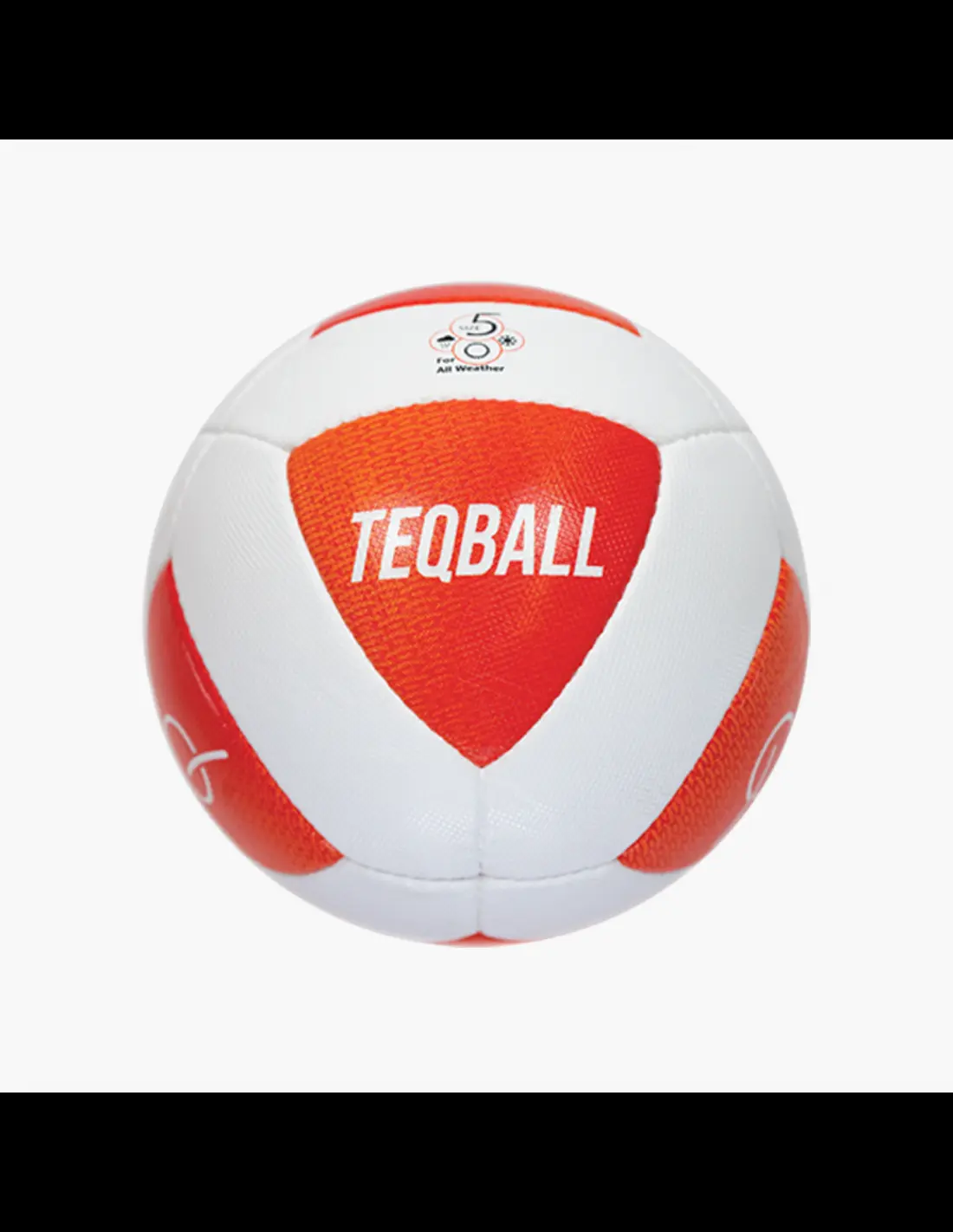 900103 Ballon de teqball